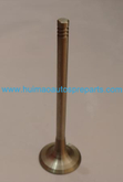 Auto Parts Exhaust Valve OEM 058109611M