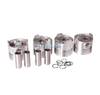 Auto Parts Piston OEM 12010-V7213