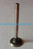 Auto Parts Exhaust Valve OEM 046109611F
