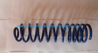 Auto Parts Coil Spring OEM 056109633B