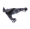 Auto Parts Control Arm OEM 48069-60040