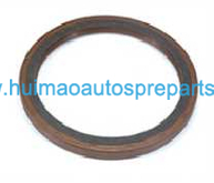 Auto Parts Oil Seal 6108100010027