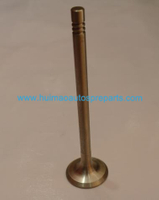 Auto Parts Exhaust Valve OEM 036109611K