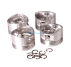 Auto Parts Piston OEM 12010-74Y00