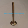 Auto Parts Exhaust Valve OEM 030109611A