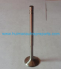 Auto Parts Exhaust Valve OEM 058109611E