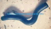 Auto Parts Heater Hose OEM 97312-0U000