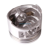 Auto Parts Piston OEM 13101-75010