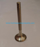 Auto Parts Exhaust Valve OEM 035109611F