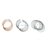 Auto Parts Piston Rings OEM 16205