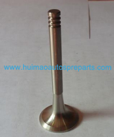 Auto Parts Exhaust Valve OEM 048109611A