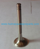 Auto Parts Exhaust Valve OEM 048109611A