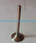 Auto Parts Inlet Valve OEM 028109601H