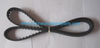 Auto Parts Timing Belt OEM 034109119