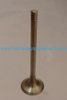 Auto Parts Exhaust Valve OEM 058109611M