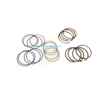 Auto Parts Piston Rings OEM 21825