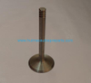 Auto Parts Exhaust Valve OEM 026109611A