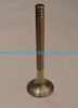 Auto Parts Exhaust Valve OEM 049109611F