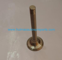 Auto Parts Exhaust Valve OEM 068109611L