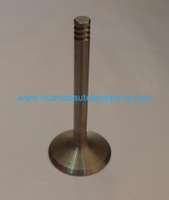 Auto Parts Exhaust Valve OEM 028109611G