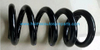 Auto Parts Coil Spring OEM 2902020-R001