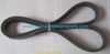 Auto Parts V-Ribbed Belt OEM 6PK1290