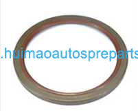 Auto Parts Oil Seal 0734319643