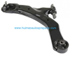 Auto Parts Control Arm OEM 54500-2F001