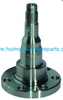 Auto Parts Wheel Hub Bearing OEM 357501117